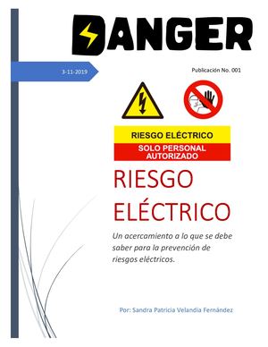 Revista Riesgos Eléctricos Sandra Velandia Sem 3
