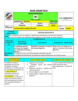 Guia Didactica Sistema Digestivo