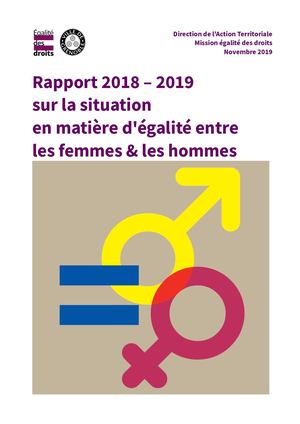 Rapport sur la situation en matière d'égalité entre les femmes et les hommes, les genres et les sexualités (2018-2019)