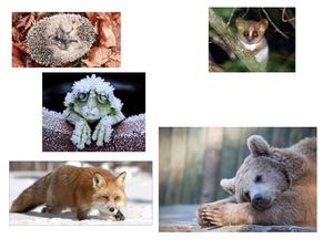 чужая презентация