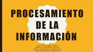 Procesamiento De La Información
