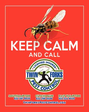 Dan's Papers November 8, 2019 Issue 1