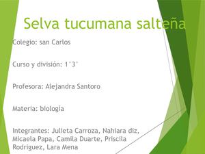 Selva Tucumana Sateña