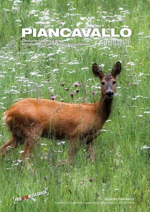 26 - Piancavallo Estate 2019