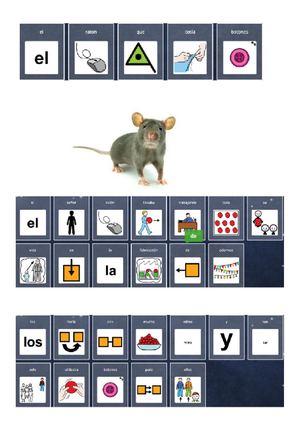 Raton