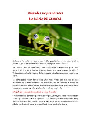 Helllen Daniela Mantilla Corzo