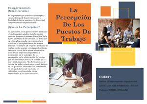 Percepcion De Los Puestos De Trabajo