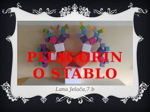 Pitagorino Stablo Lana Jelača, 7 B