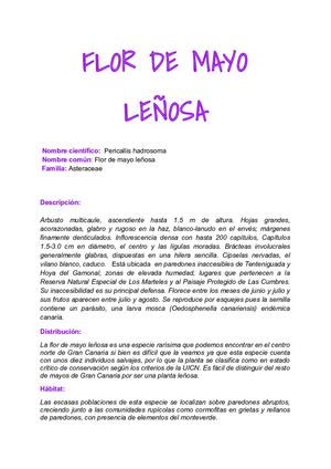 Proyecto Nquimica 1212