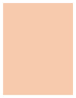 Portafolio De Los Trucos De Word