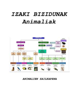 Izaki bizidunak - 2 Sailkapena