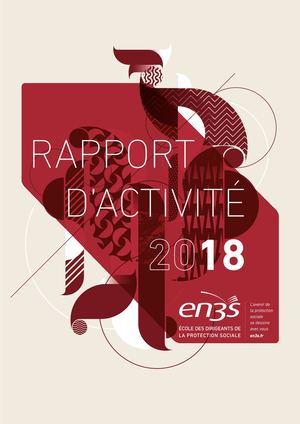 RAPPORT D'ACTIVITÉ EN3S 2018