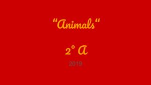 Animals