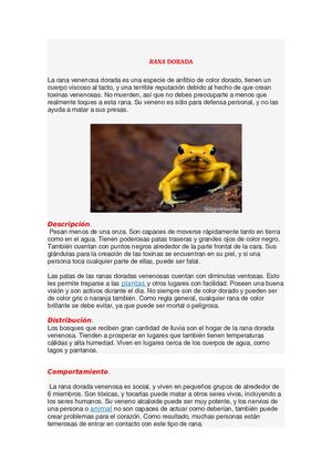 Animales sorprendentes de la región