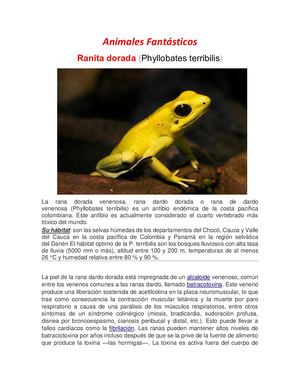 Animales Fantásticos Sergio Mvs