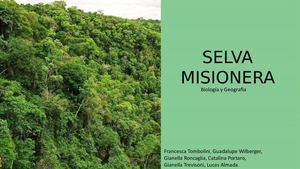 Selva Misionera