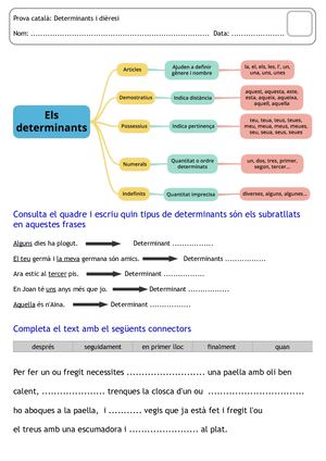 Prova Determinants