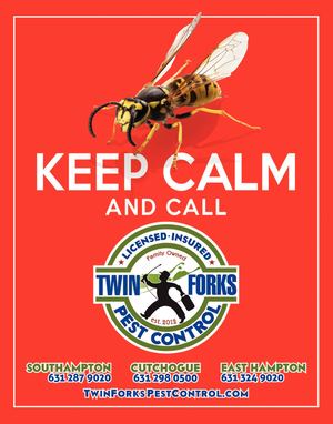 Dan's Papers November 15, 2019 Issue 1