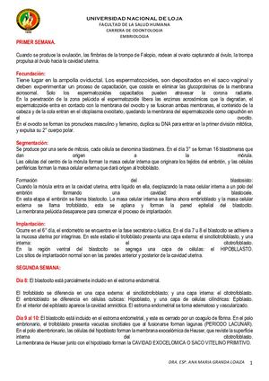 Crecimiento Y Desarrollo Embrionario Y Craneo Facial