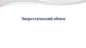 Энергетический обмен Цикл Кребса