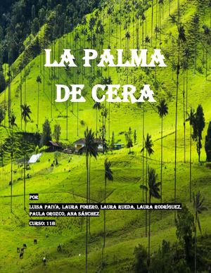 La Palma De Cera
