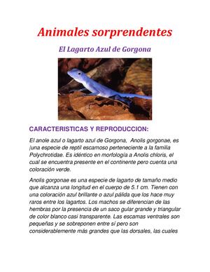 Animales Sorprendentes