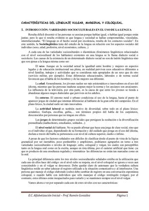 Características Del Lenguaje Vulgar