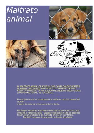 Maltrato animal