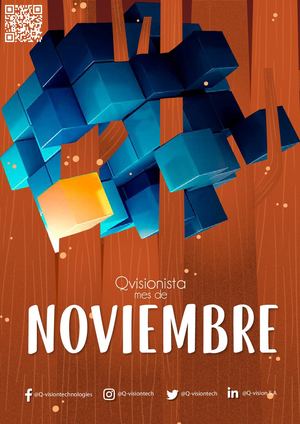 Q-visionista Noviembre