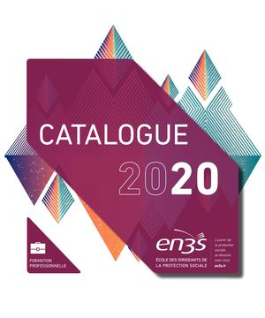 Formations EN3S 2020