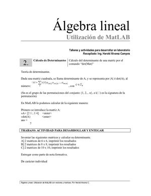 Taller sobre Determinantes