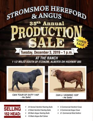 Stromsmoe 2019 sale Catalogue