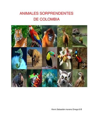 Animales Sorprendentes De Colombia