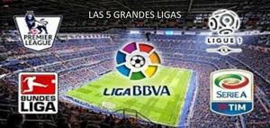 Las 5 Grandes Ligas