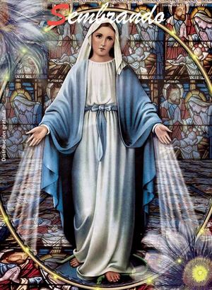 Revista Sembrando Ed Noviembre 2019