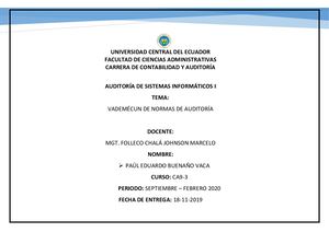 Vademécum Normas de Auditoria