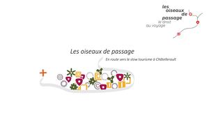 Les Oiseaux De Passage