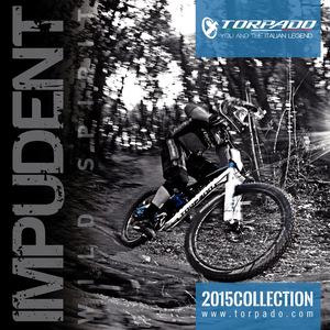 Catalogo Torpado Impudent 2015