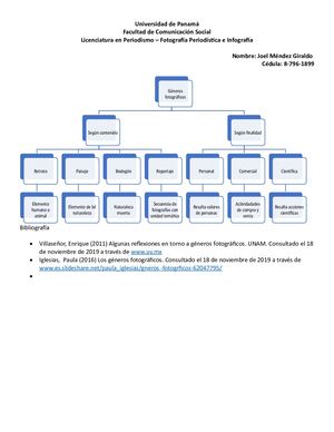 Infografía Géneros Fotográficos