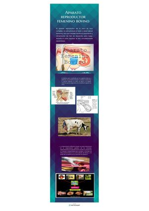 Calameo Olivier Jimenez Infografia 4 Pdf