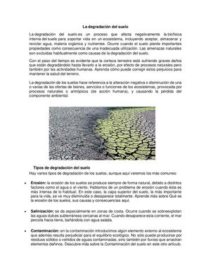 La Degradación Del Suelo