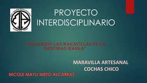 Proyecto Cochas Chico