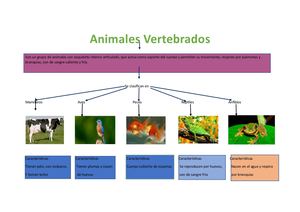 Animales Vertebrados (1)