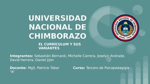 Currículum Nulo Y Sus Variantes Grupo2(1)