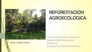 Reforestacion Agroecologica