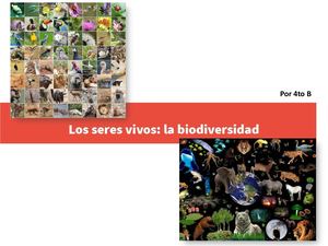 Los Seres Vivos Por 4to B
