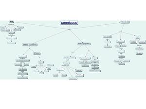 Mapa Conceptual currículo