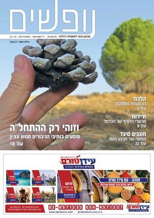 נופשים | גיליון 176