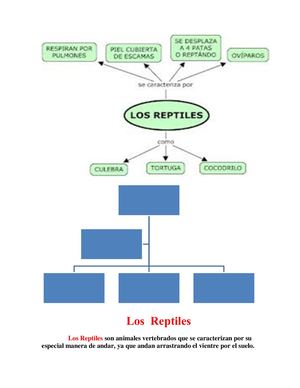 Los Reptiles
