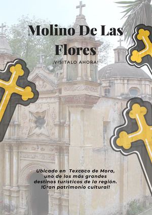 "Respeto, Preservación, Conservación y Difusión del Patrimonio Cultural en Texcoco del Molino de Flores" (Cartel)